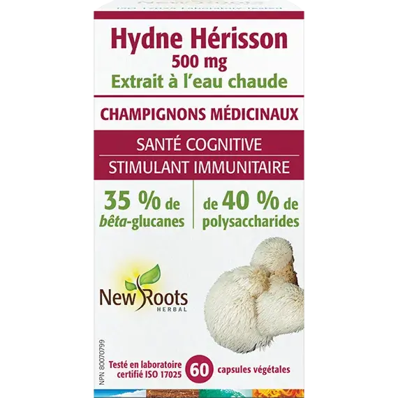 Hydne Hérisson